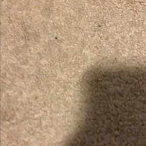 Meet your Posher, Dylan